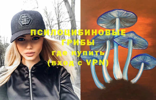 тгк Белокуриха