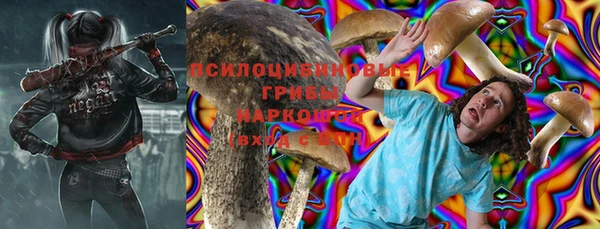 тгк Белокуриха