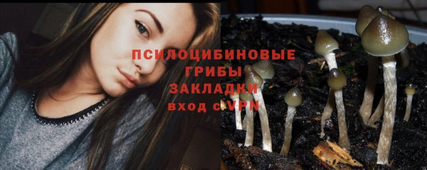 тгк Белокуриха