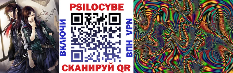 Псилоцибиновые грибы Psilocybine cubensis  Первомайск 
