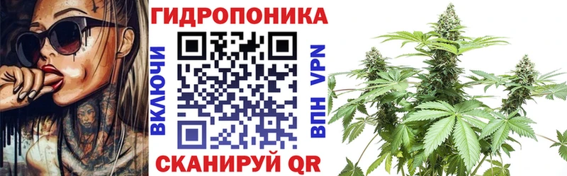 купить  цена  Первомайск  Бошки марихуана гибрид 